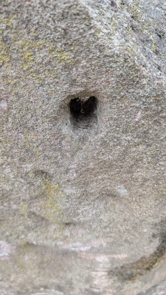 SUPERB ANTIQUE 18TH CENTURY STONE WATER PUMP TROUGH GARDEN FEATURE PLANTER