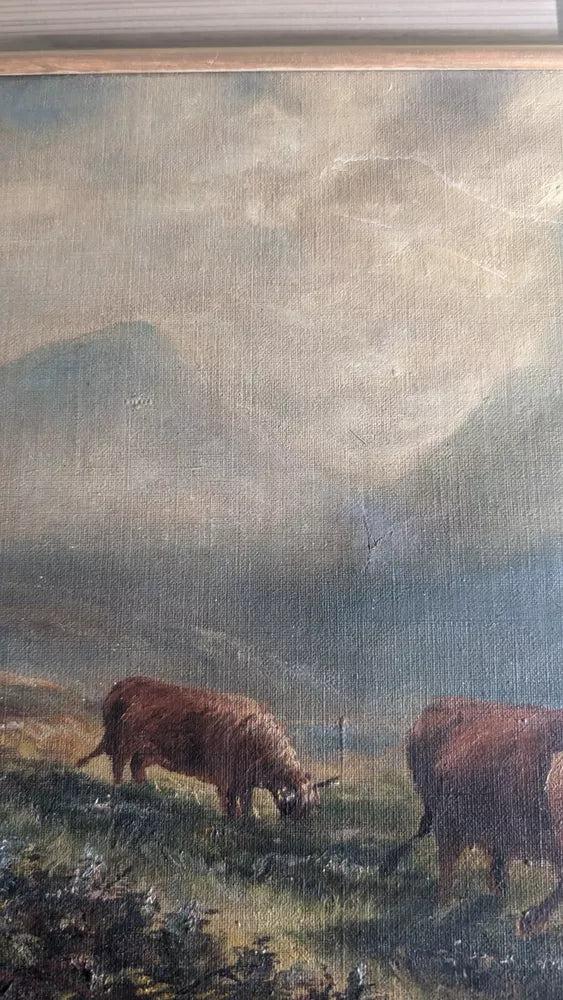 Wonderful Antique Oil On Canvas Grazing Highland Cattle Framed Ready To Hang