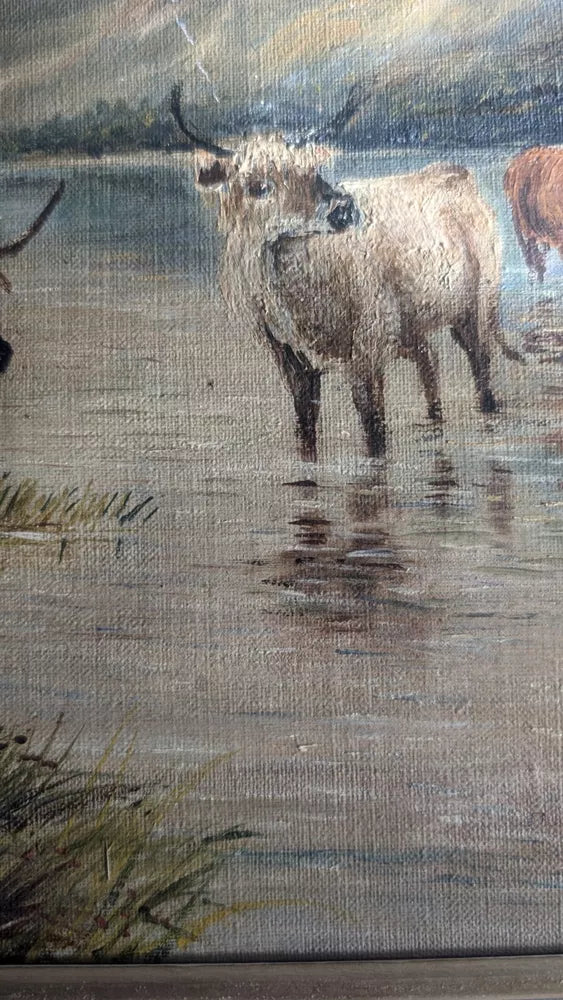 Wonderful Antique Oil On Canvas Grazing Highland Cattle Framed Ready To Hang