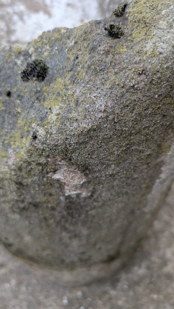 SUPERB ANTIQUE 18TH CENTURY STONE WATER PUMP TROUGH GARDEN FEATURE PLANTER