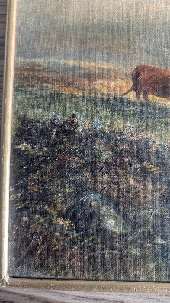 Wonderful Antique Oil On Canvas Grazing Highland Cattle Framed Ready To Hang