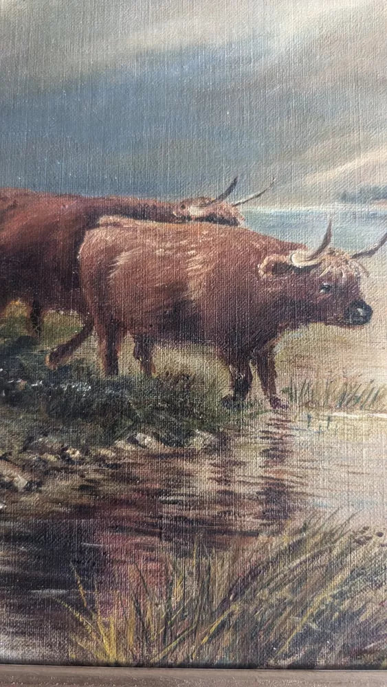 Wonderful Antique Oil On Canvas Grazing Highland Cattle Framed Ready To Hang