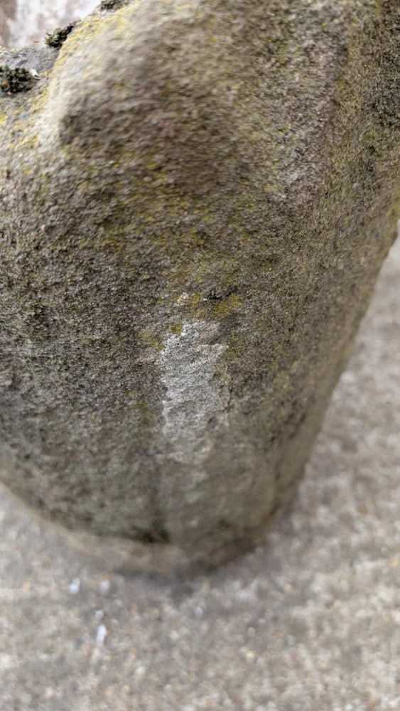 SUPERB ANTIQUE 18TH CENTURY STONE WATER PUMP TROUGH GARDEN FEATURE PLANTER