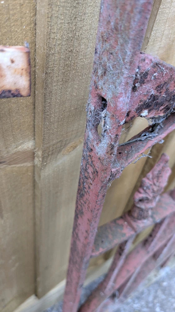 Stunning Large Victorian Wrought Iron Blacksmith Made Pedestrian Garden Gate