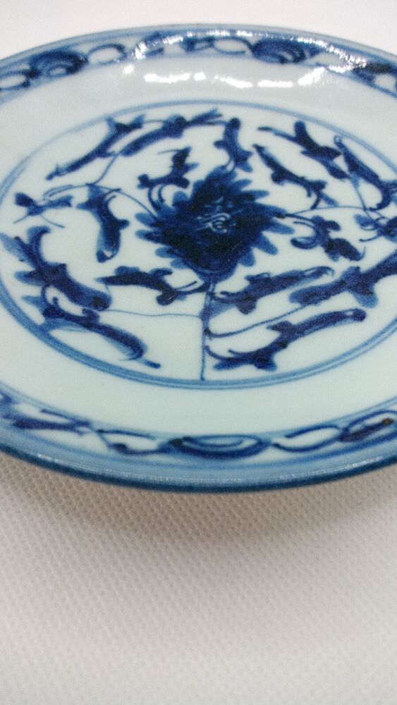 Chinese 19th C. Blue and White Lingzhi Fungus Design Porcelain Plate Vgc