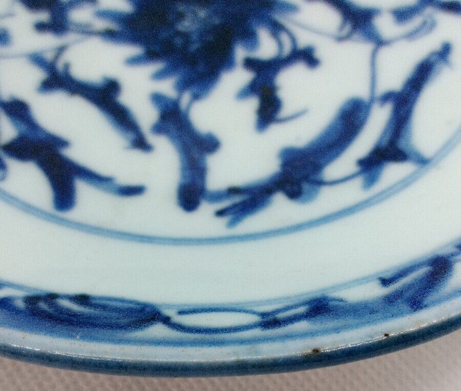 Chinese 19th C. Blue and White Lingzhi Fungus Design Porcelain Plate Vgc