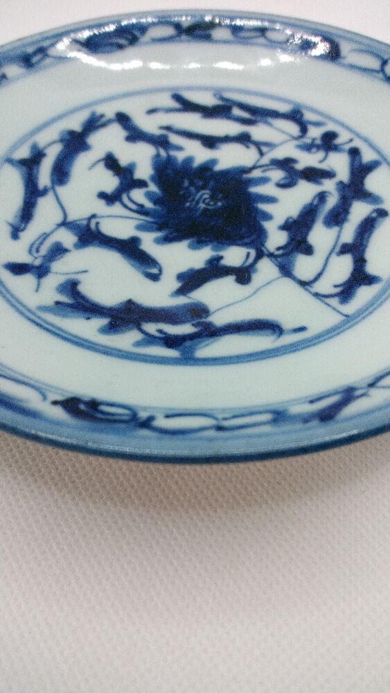 Chinese 19th C. Blue and White Lingzhi Fungus Design Porcelain Plate Vgc