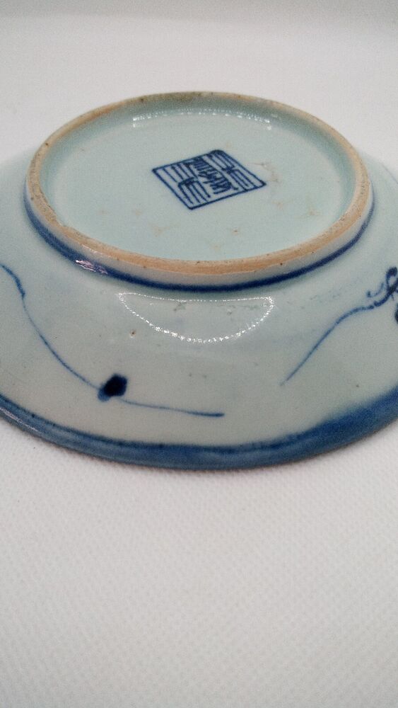 Chinese 19th C. Blue and White Lingzhi Fungus Design Porcelain Plate Vgc