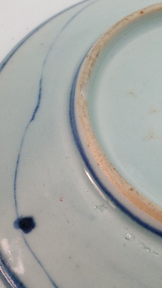 Chinese 19th C. Blue and White Lingzhi Fungus Design Porcelain Plate Vgc