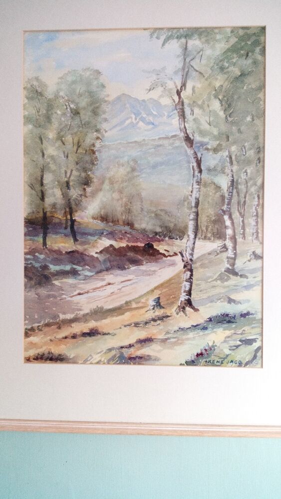 IRENE JACO - Original Watercolour  - BIRCH TREES LANDSCAPE - Framed And Mounted