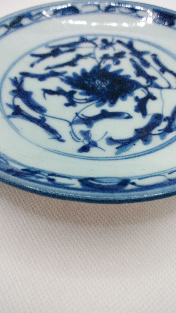 Chinese 19th C. Blue and White Lingzhi Fungus Design Porcelain Plate Vgc