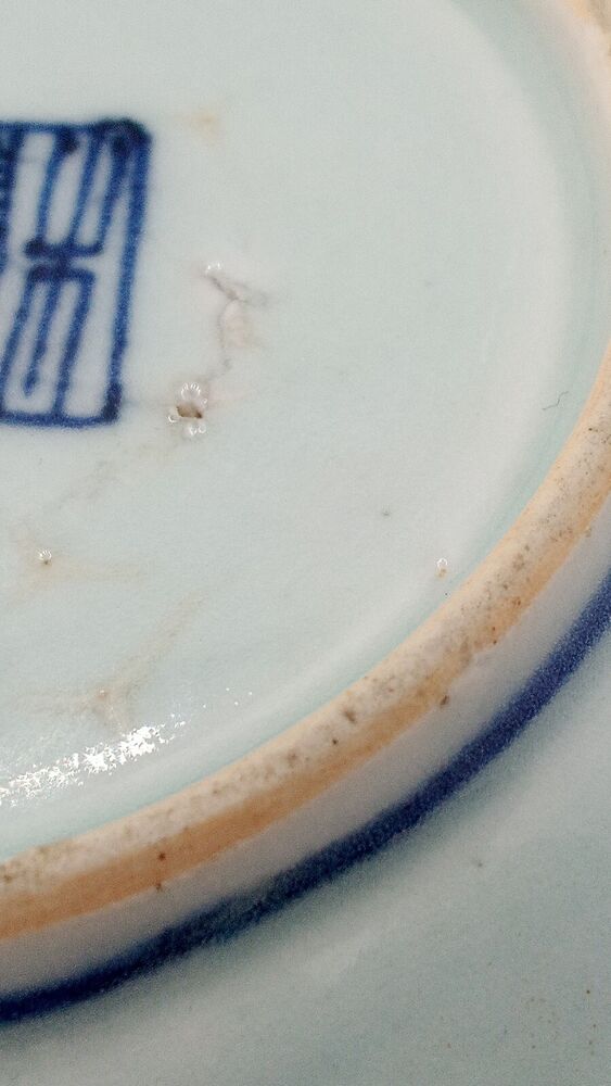 Chinese 19th C. Blue and White Lingzhi Fungus Design Porcelain Plate Vgc