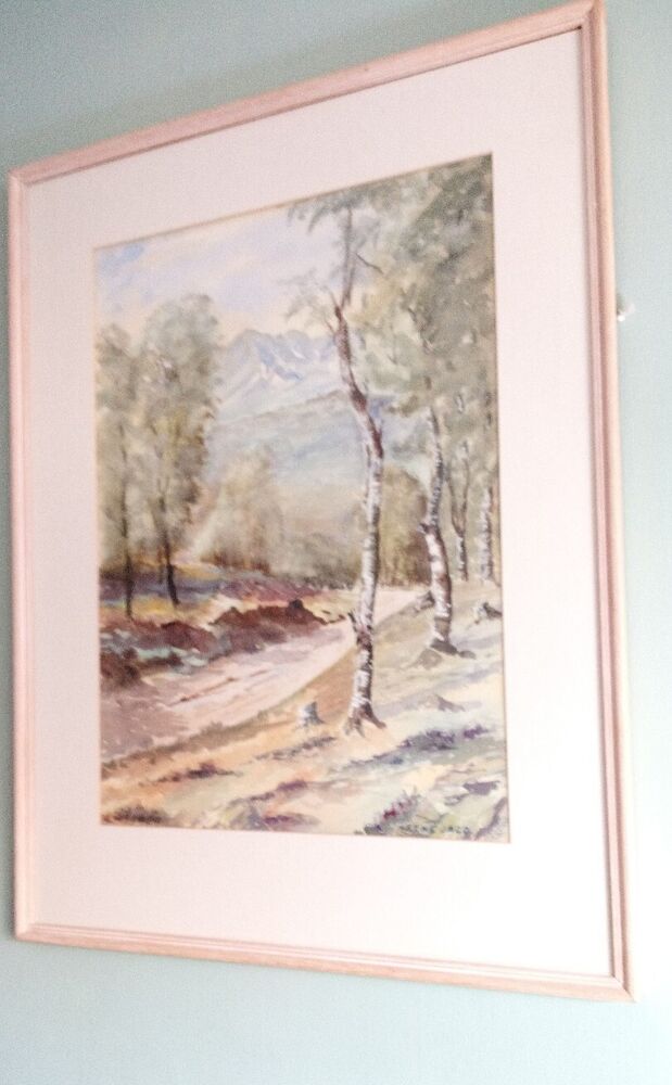 IRENE JACO - Original Watercolour  - BIRCH TREES LANDSCAPE - Framed And Mounted