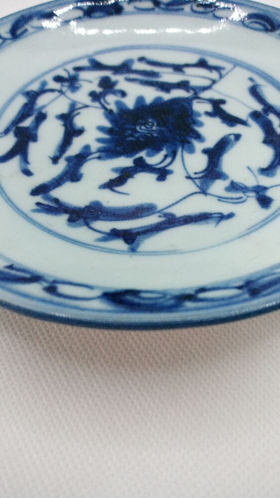 Chinese 19th C. Blue and White Lingzhi Fungus Design Porcelain Plate Vgc