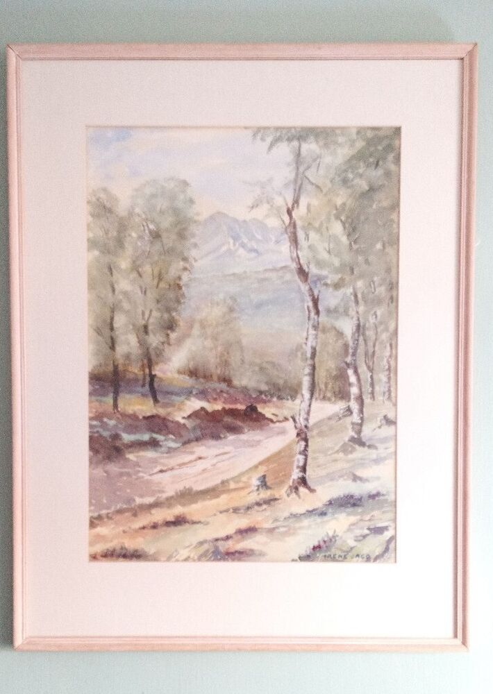 IRENE JACO - Original Watercolour  - BIRCH TREES LANDSCAPE - Framed And Mounted