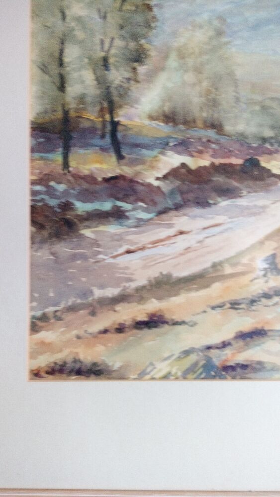 IRENE JACO - Original Watercolour  - BIRCH TREES LANDSCAPE - Framed And Mounted